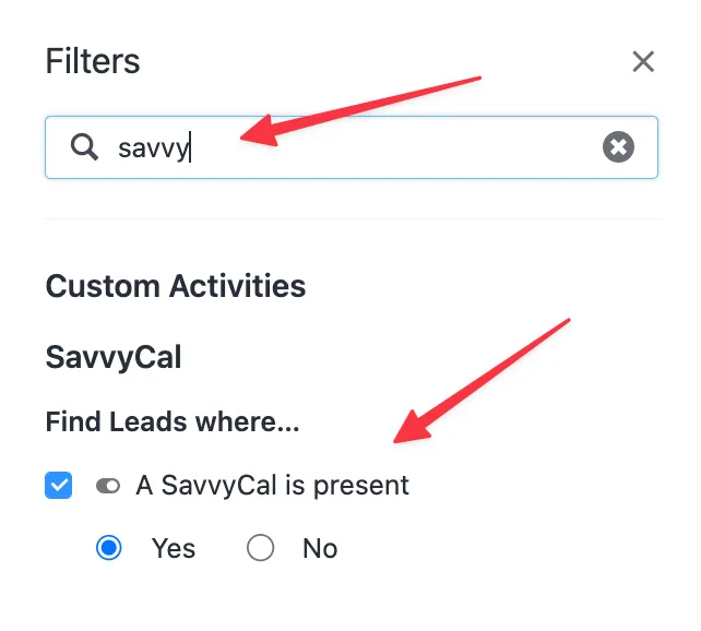 Filters panel showing SavvyCal custom activity filter with Yes selected.