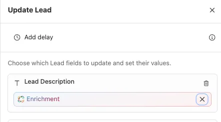 Workflow editor panel showing the Update Lead step with Lead Description field and Enrichment artifact selected.