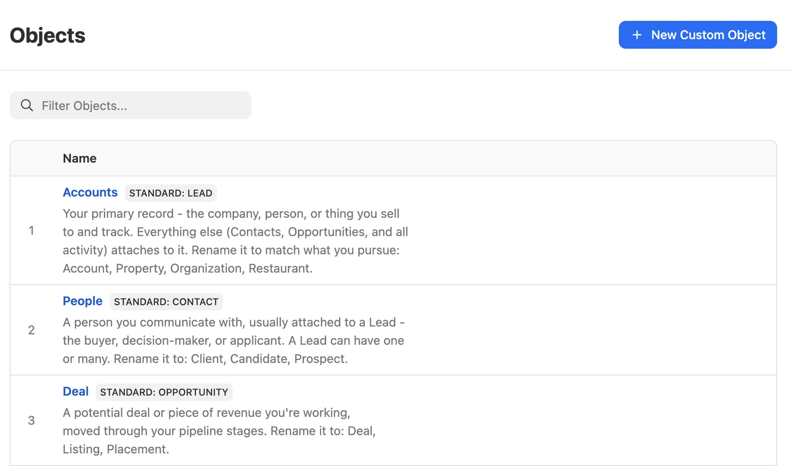 Settings page showing renamed standard objects Accounts, People, and Deal with descriptions.