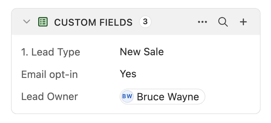Custom fields panel showing Lead Type, Email opt-in, and Lead Owner Bruce Wayne.