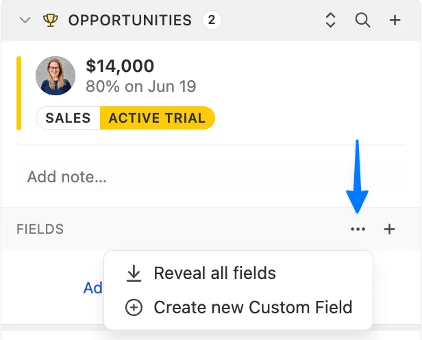 Opportunities sidebar showing custom fields menu with options to reveal fields or create new custom field.