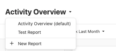 Open Activity Overview dropdown showing report options and New Report button.
